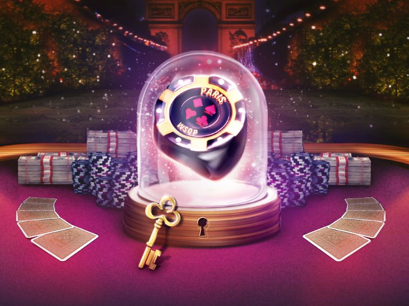 Bingo Patti Live Casino